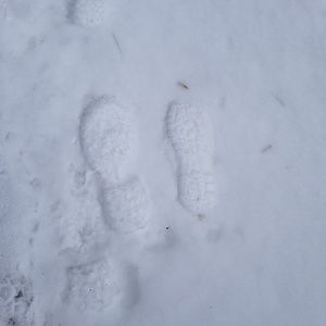 Meet your Posher, Dianne